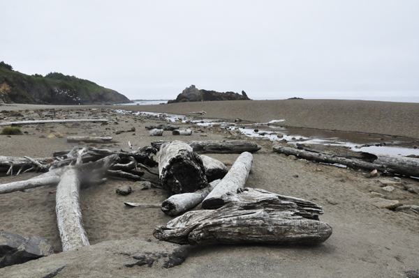 Fogarty Creek Recreation Area